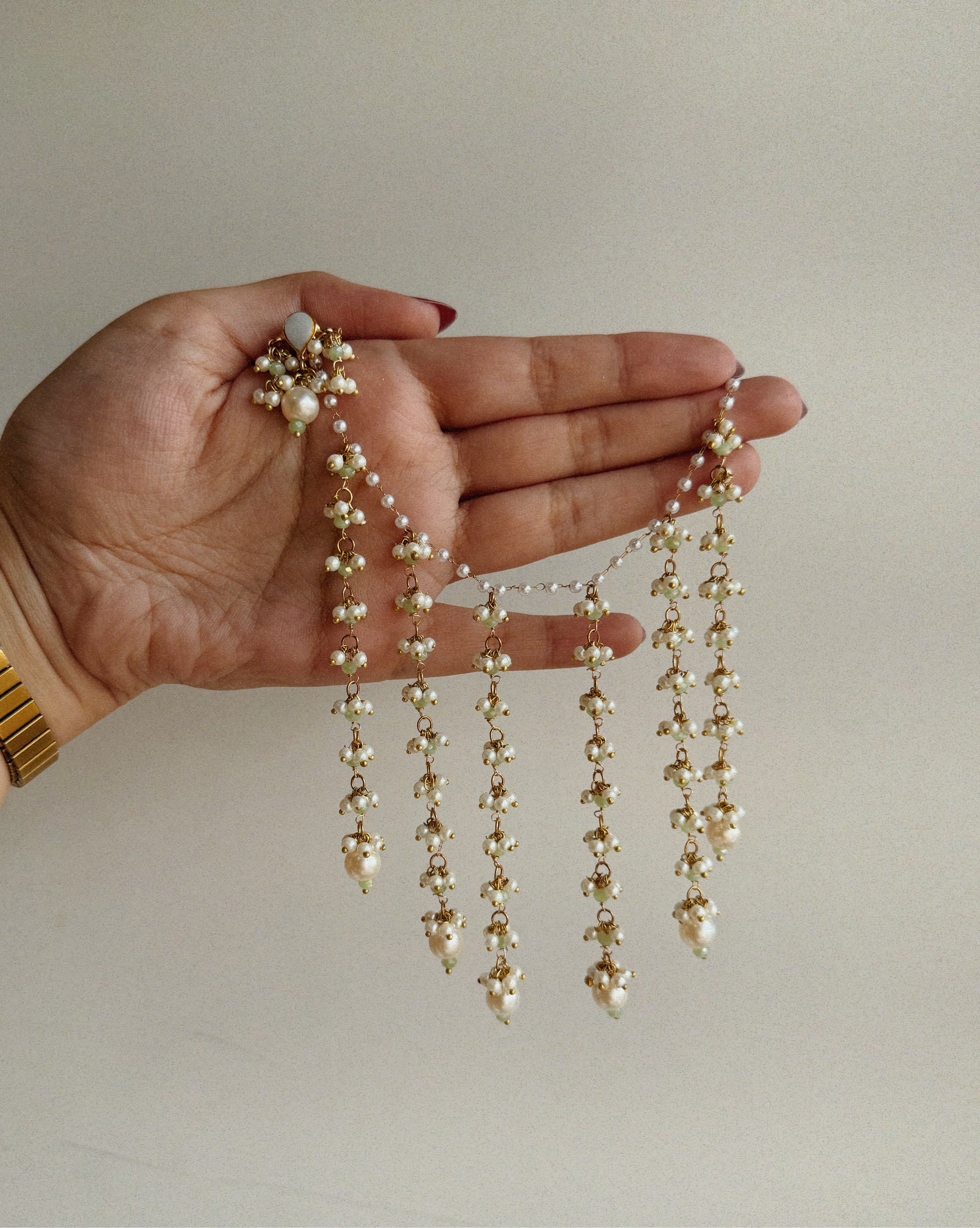 Noor Jehan Saharas & Earrings Set