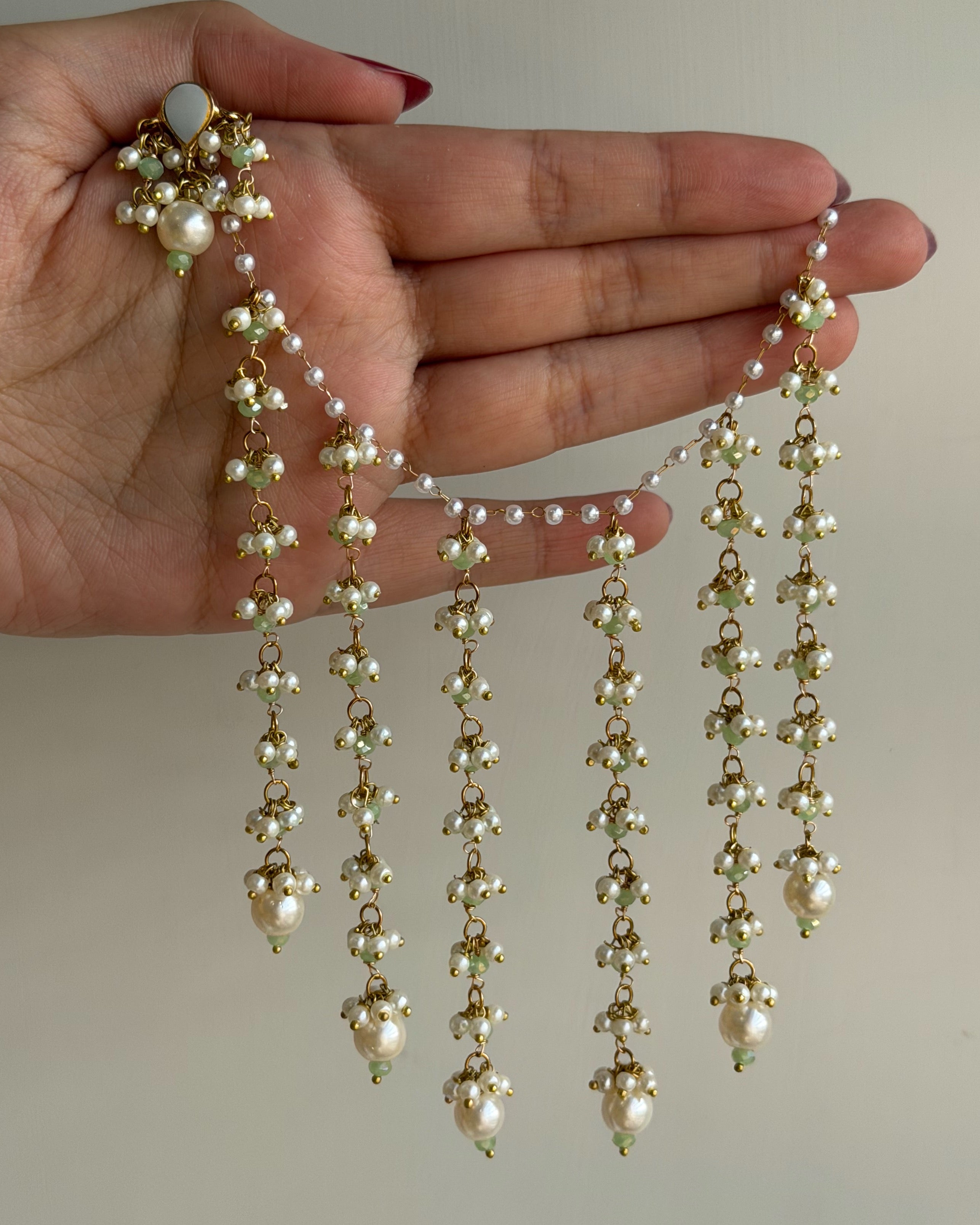 Noor Jehan Saharas & Earrings Set